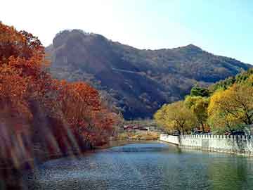 澳门二四六天天彩图库，流月寒星